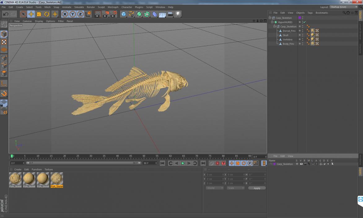 3D Carp Skeleton model