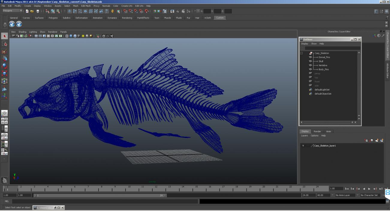 3D Carp Skeleton model