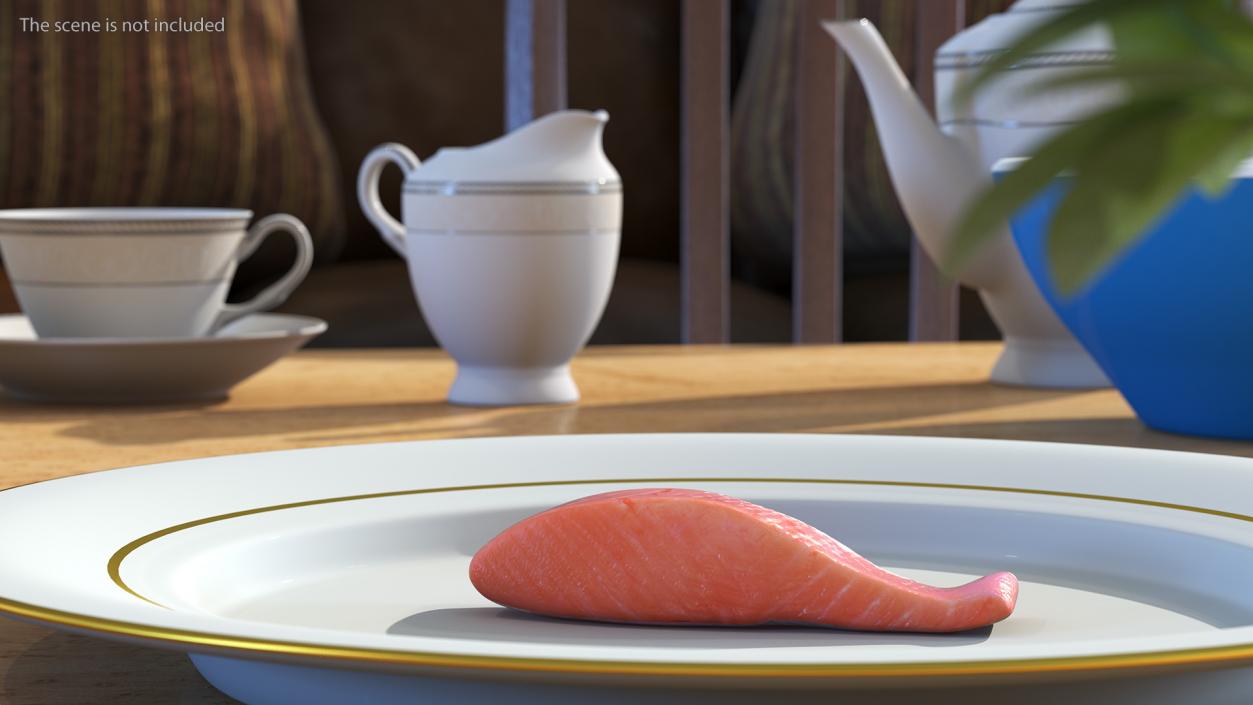 3D Raw Salmon Steaks Collection model