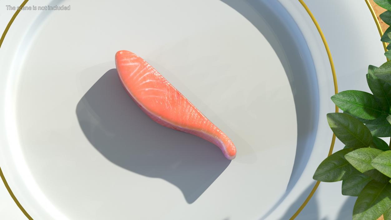 3D Raw Salmon Steaks Collection model