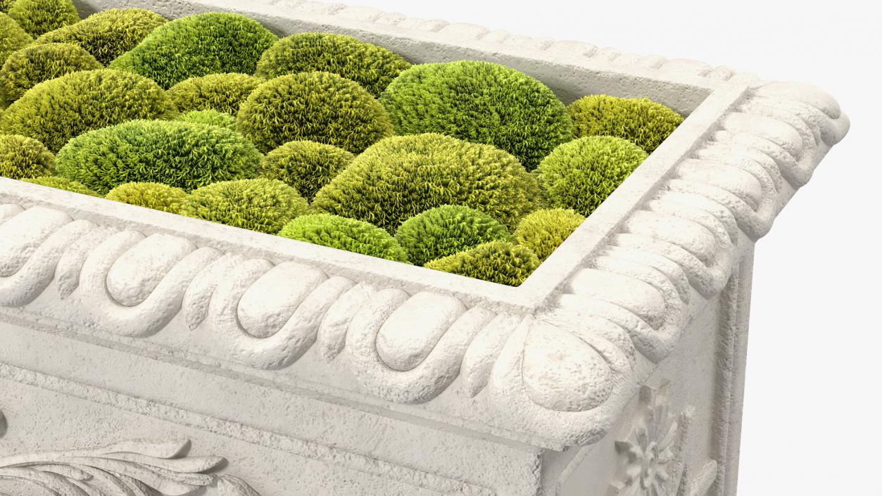 3D model Trough Planter With Moss Garden h30