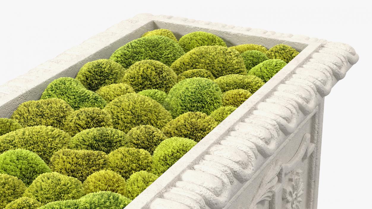 3D model Trough Planter With Moss Garden h30