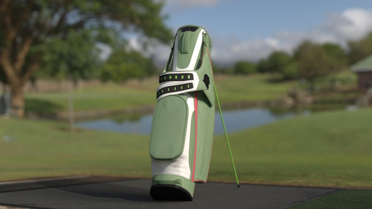 Golf Bag with Stand 3D model