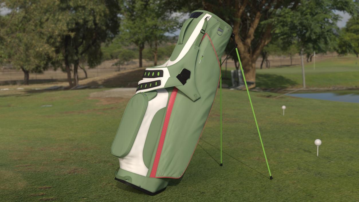 Golf Bag with Stand 3D model