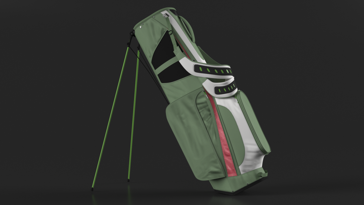 Golf Bag with Stand 3D model