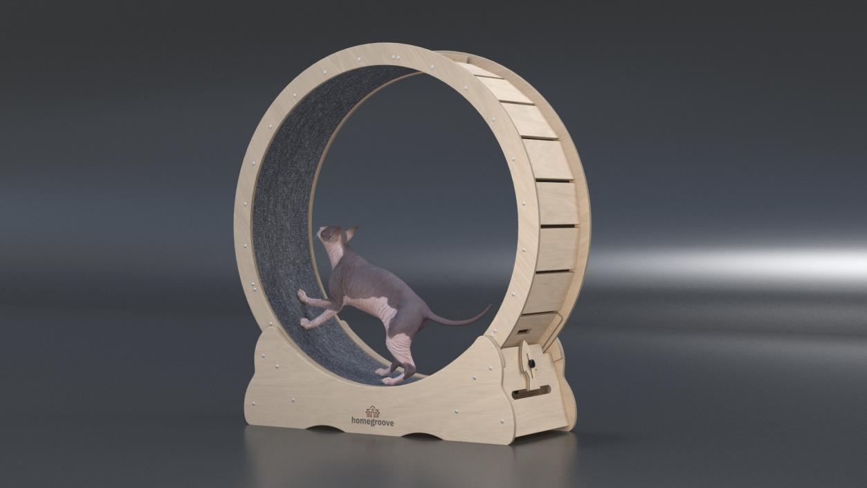 3D Wooden Exercise Wheel by Homegroove for Cat model