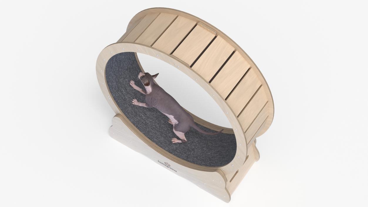 3D Wooden Exercise Wheel by Homegroove for Cat model