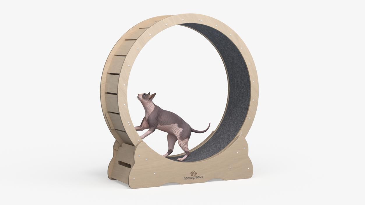 3D Wooden Exercise Wheel by Homegroove for Cat model