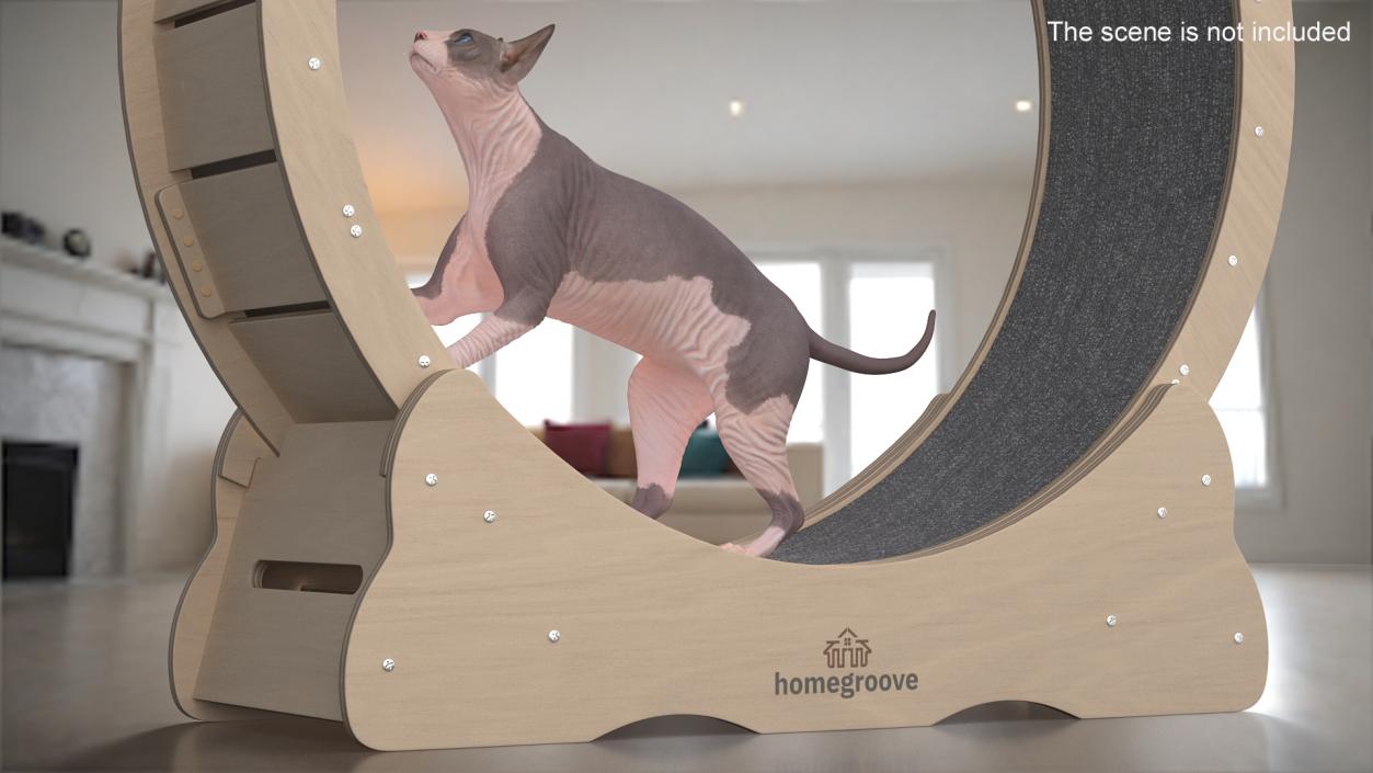 3D Wooden Exercise Wheel by Homegroove for Cat model