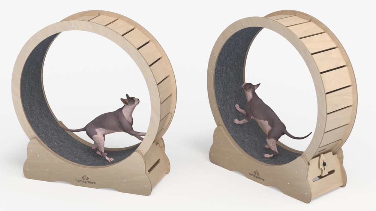 3D Wooden Exercise Wheel by Homegroove for Cat model