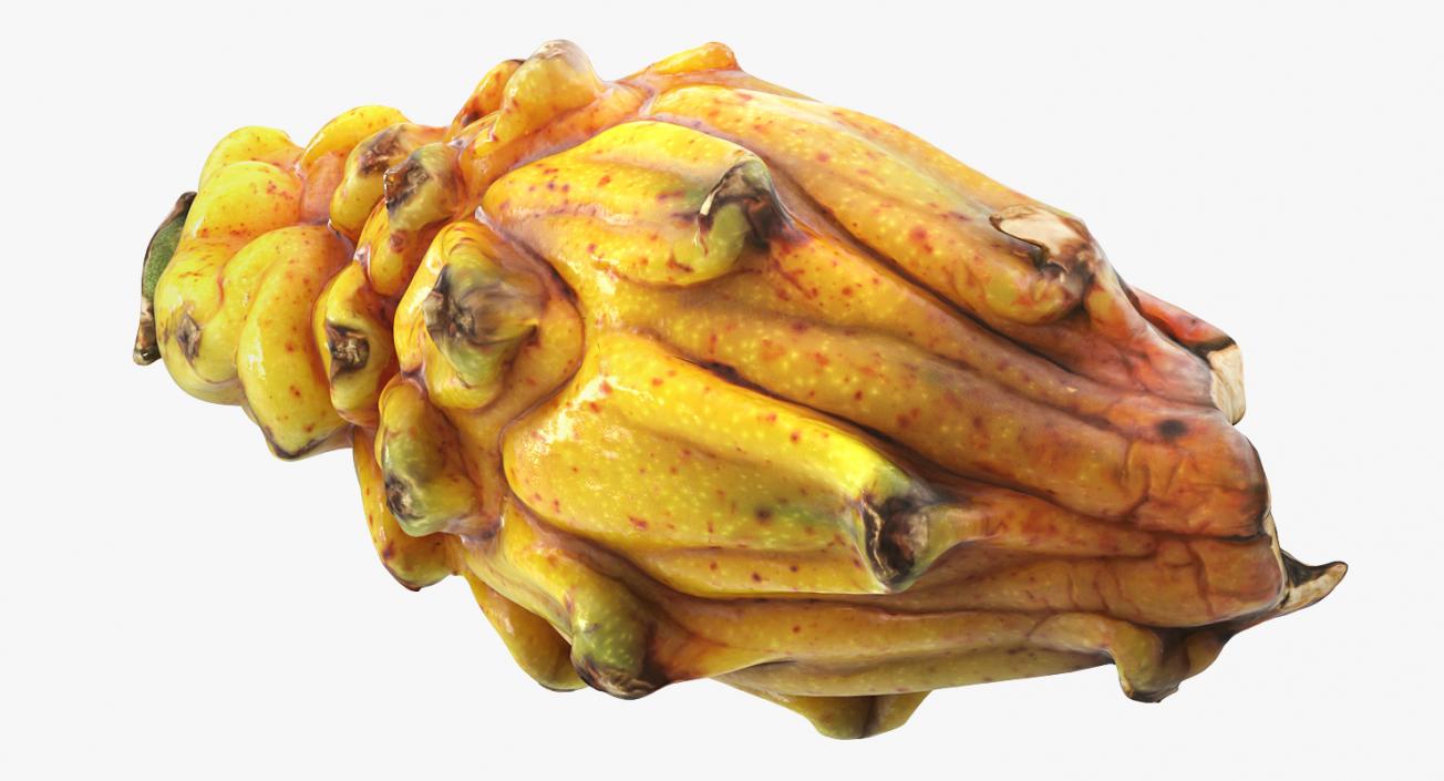 3D Yellow Dragon Fruit Cut Half model