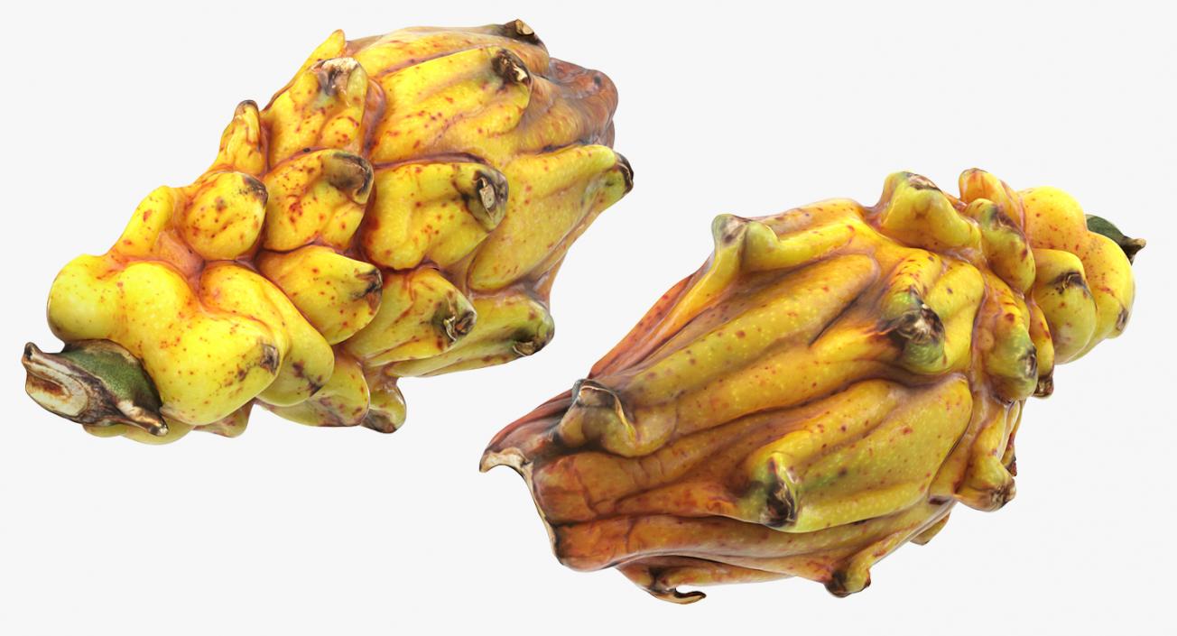 3D Yellow Dragon Fruit Cut Half model