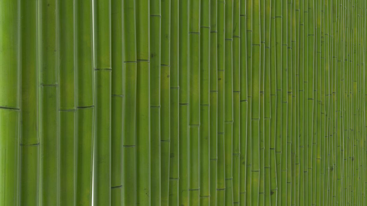 3D Bamboo Wall Panel Green model