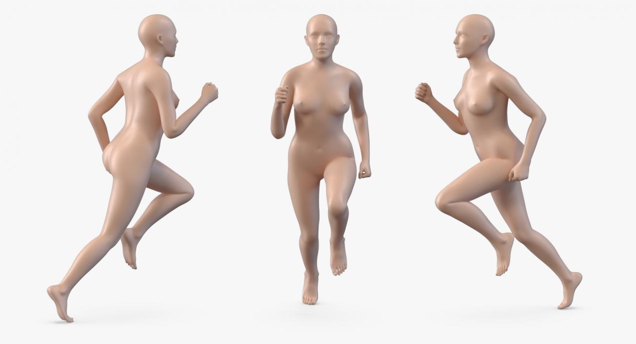 3D Male  and Female Bodies with Skeletons Rigged Collection