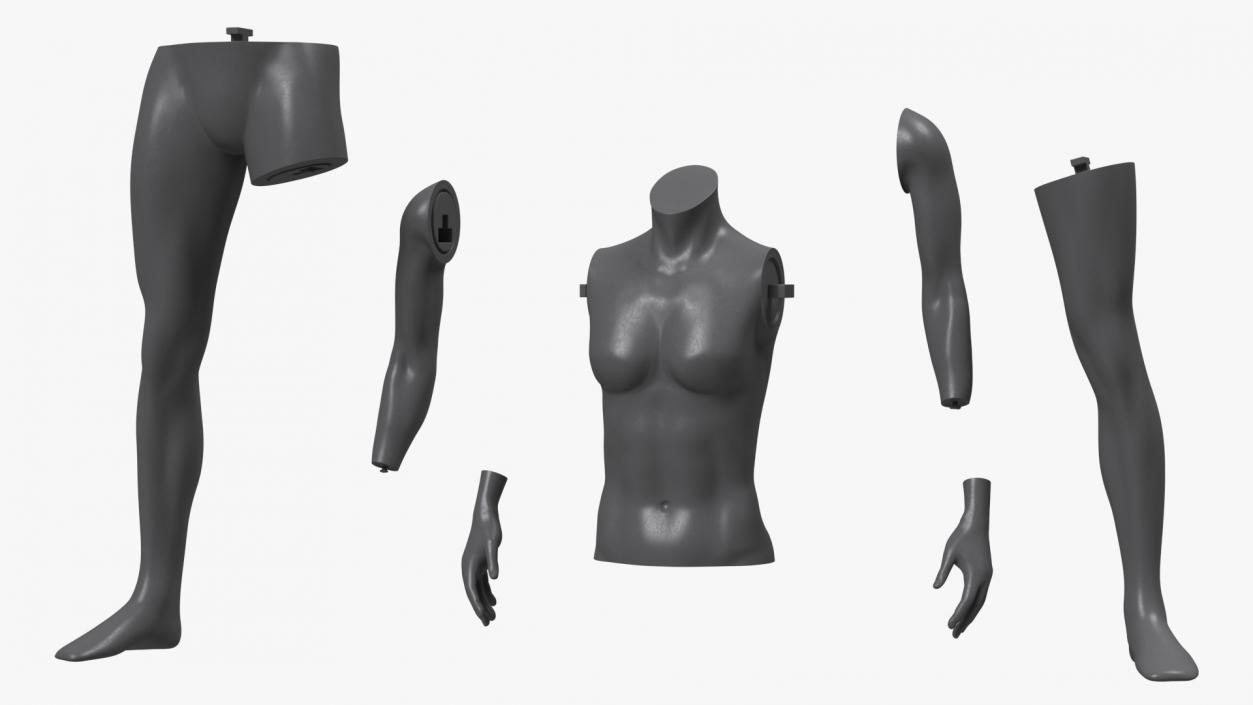 3D Female Sports Mannequins Black Collection