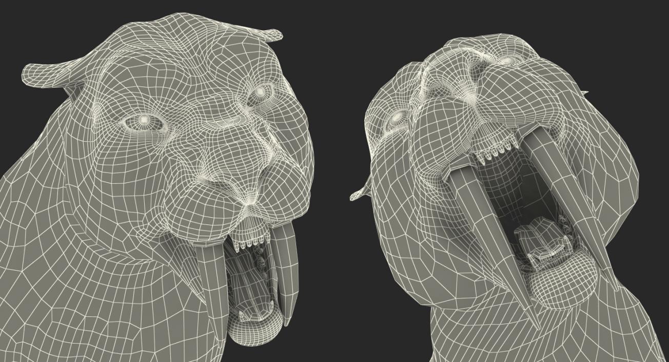 3D Saber Tooth Tiger Growls Pose with Fur model