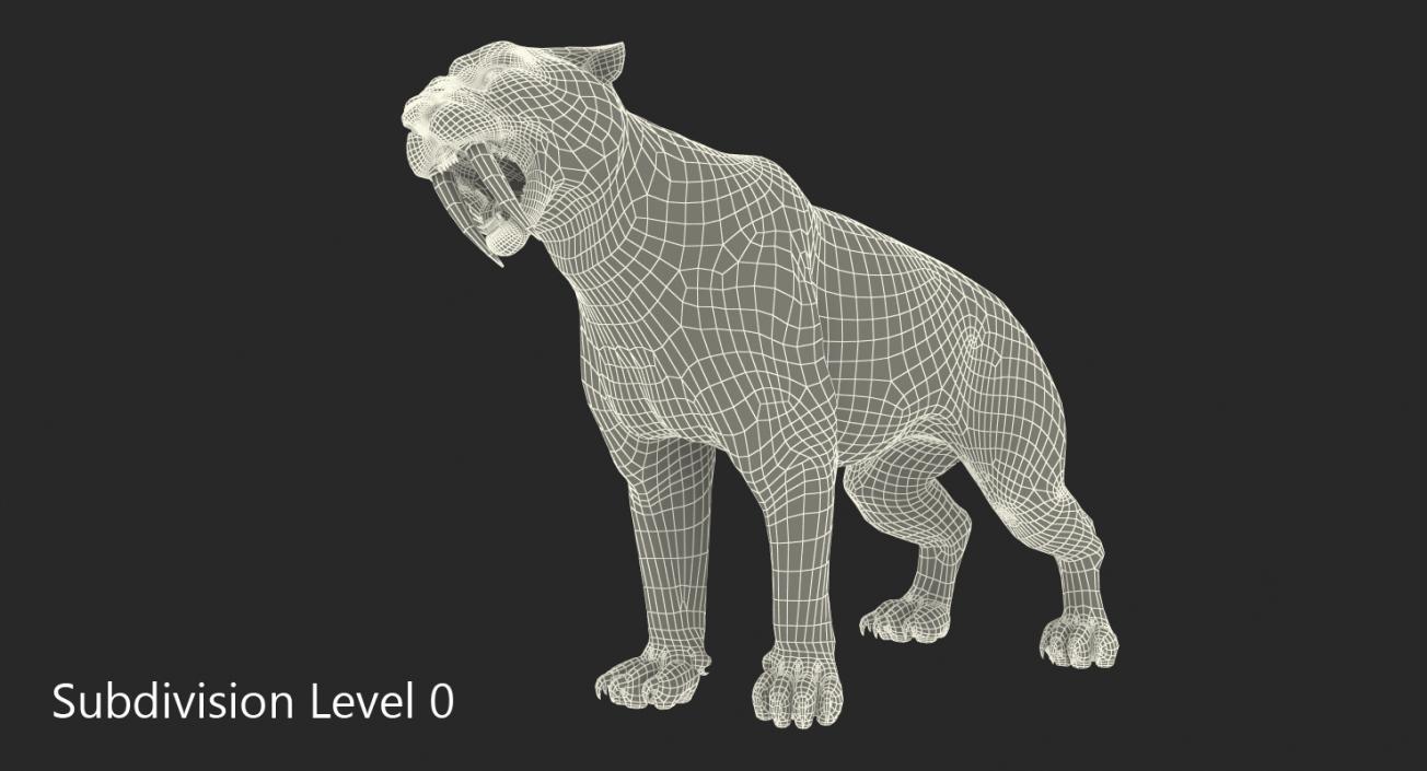 3D Saber Tooth Tiger Growls Pose with Fur model