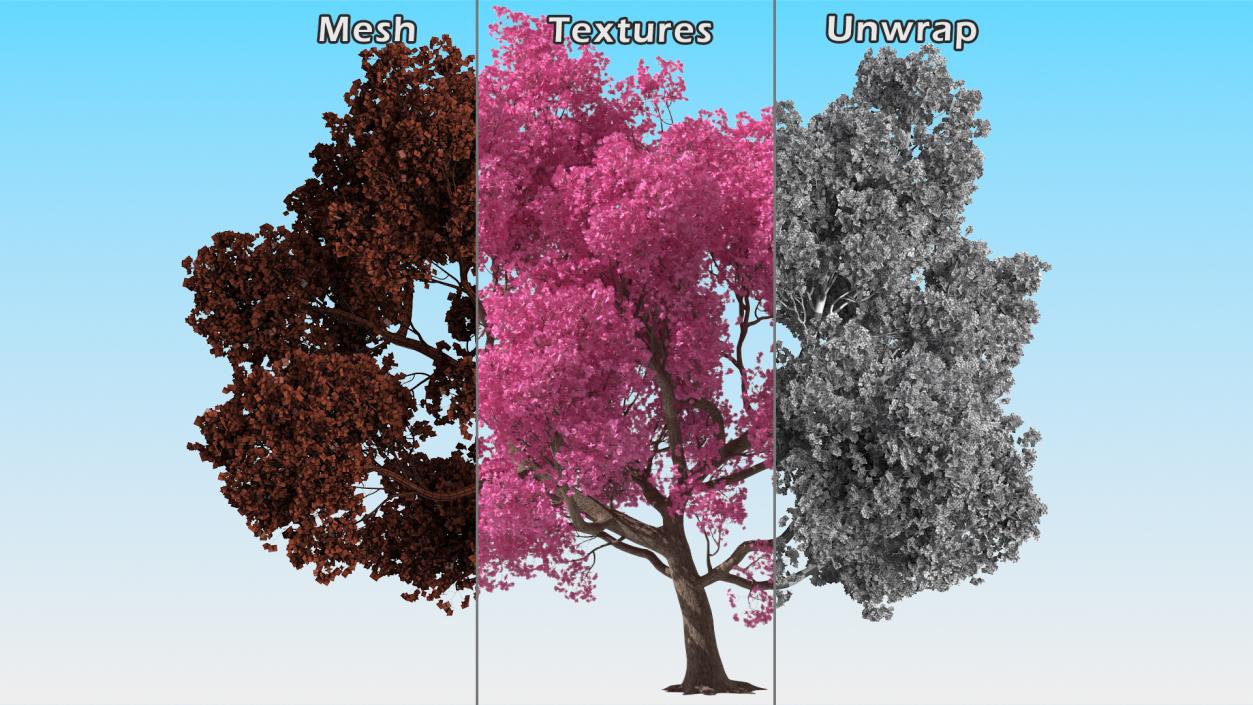 3D Pink Trumpet Tree Big