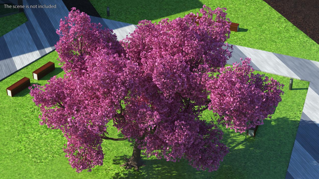 3D Pink Trumpet Tree Big