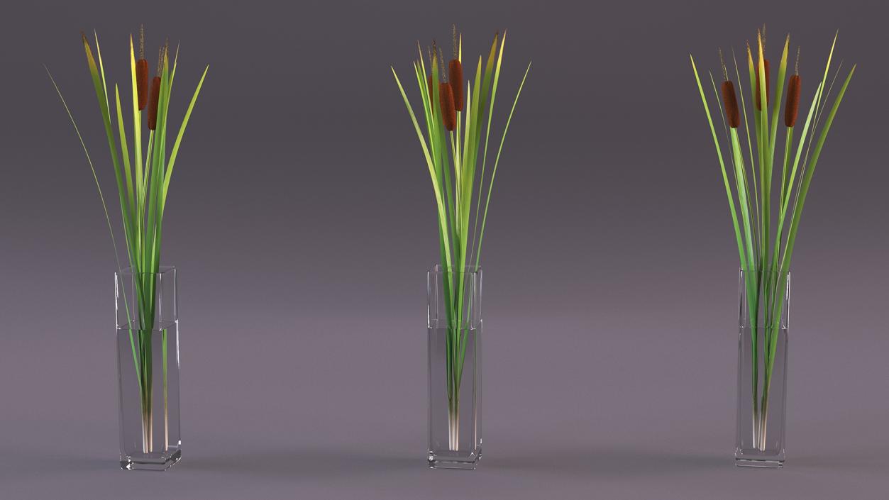 3D Cattail in Glass Vase