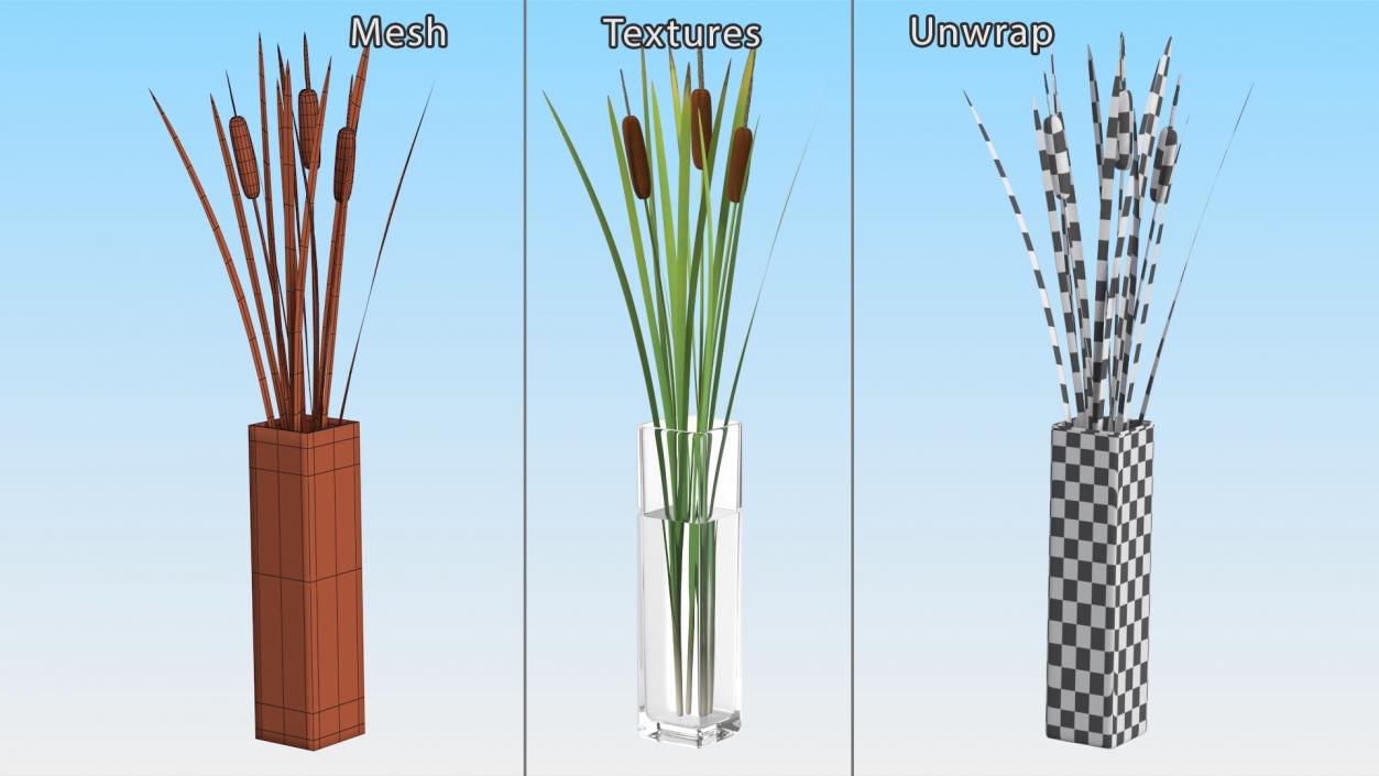 3D Cattail in Glass Vase