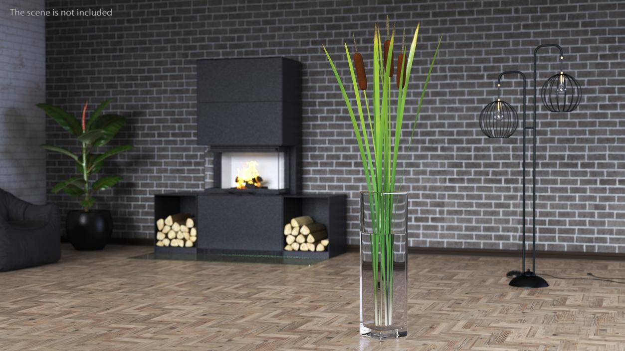 3D Cattail in Glass Vase