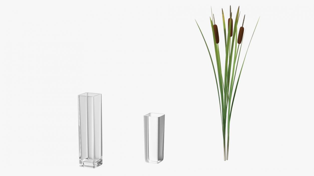 3D Cattail in Glass Vase