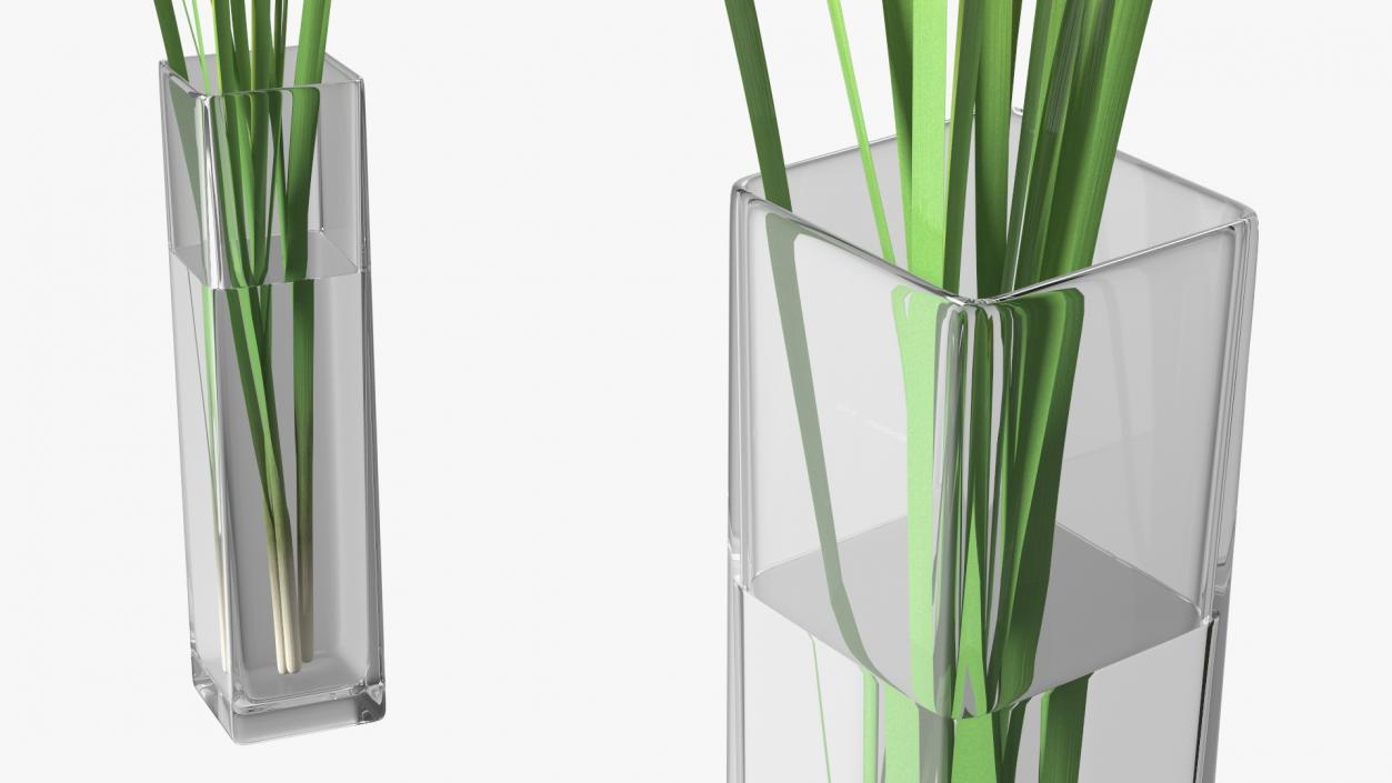 3D Cattail in Glass Vase