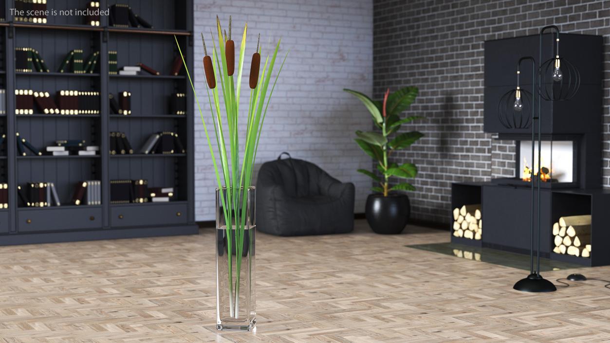 3D Cattail in Glass Vase