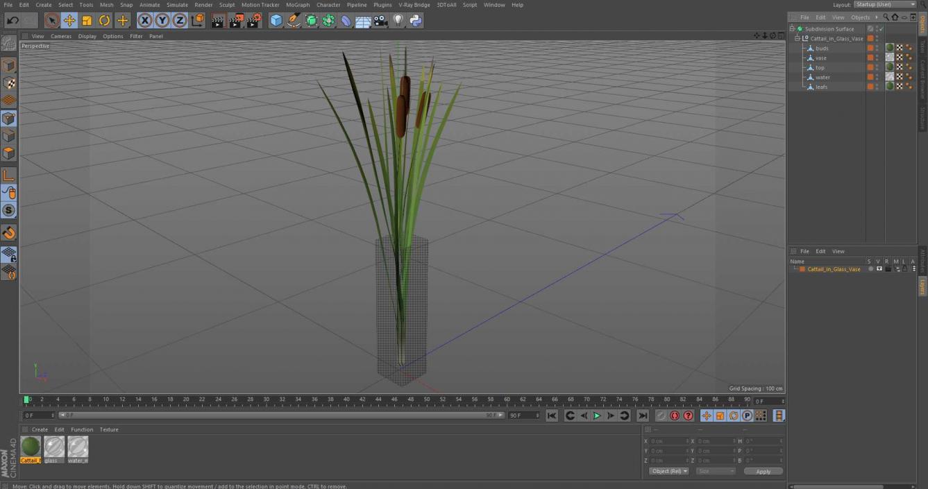 3D Cattail in Glass Vase