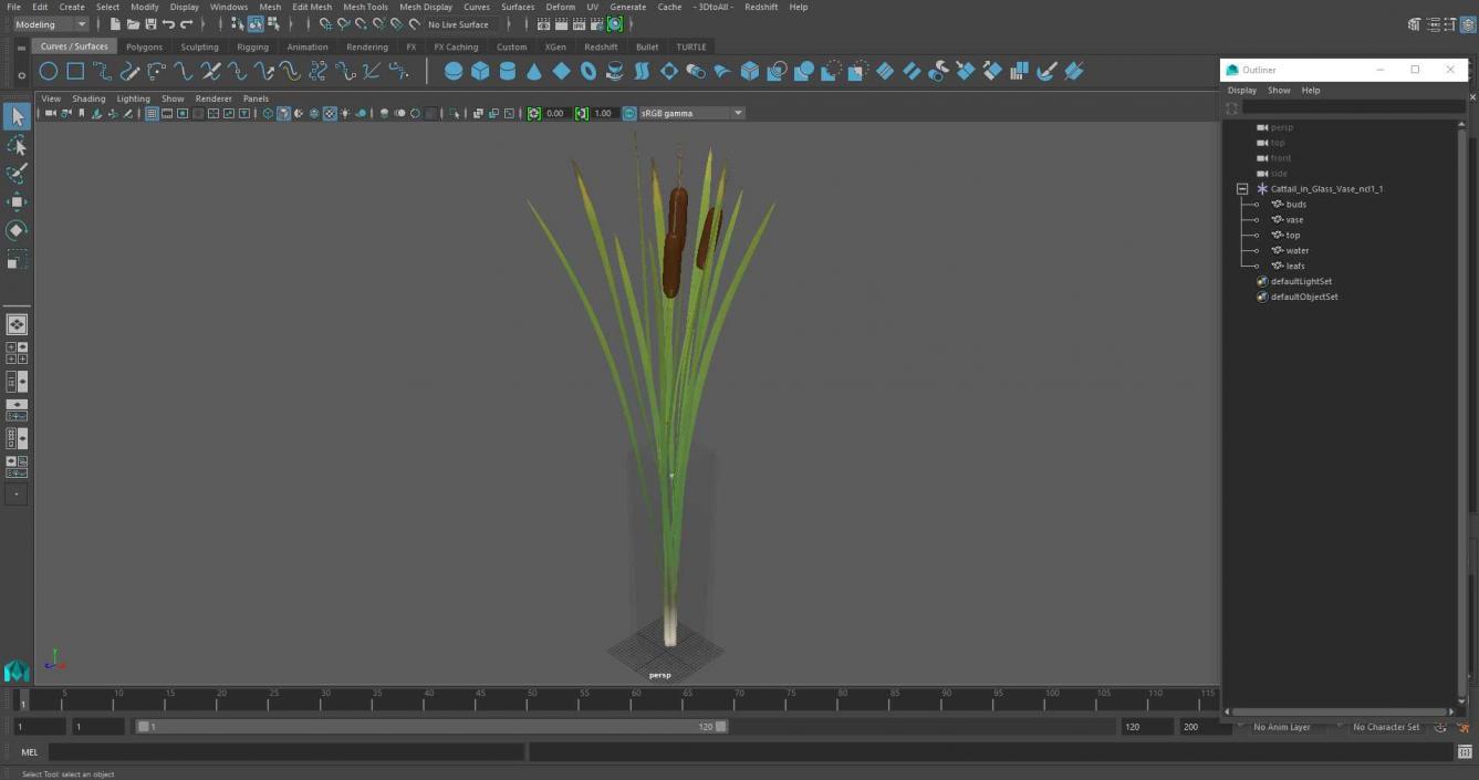 3D Cattail in Glass Vase