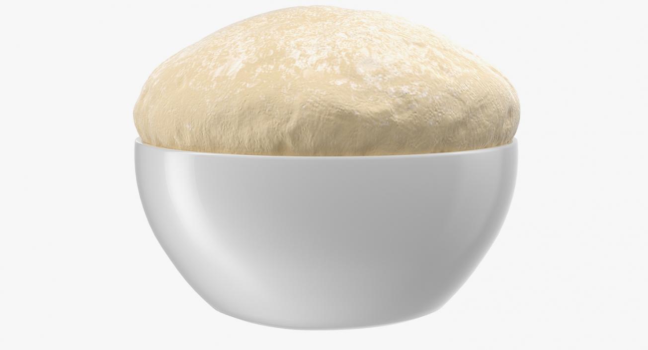 Raw Dough in Bowl 3D