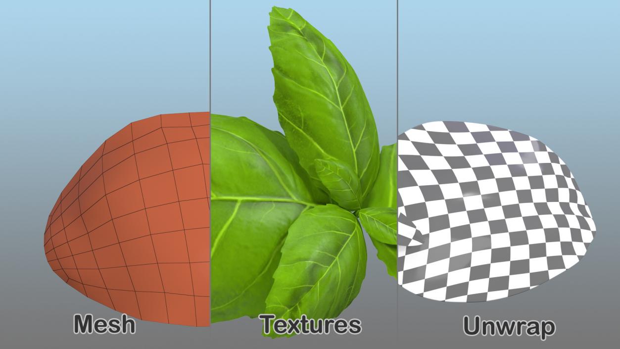 3D model Salad Greens Collection 4