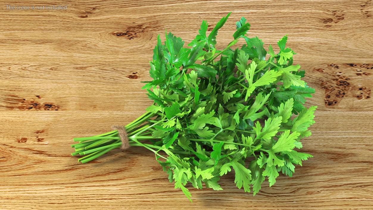 3D model Salad Greens Collection 4