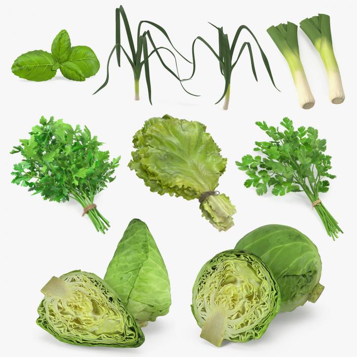 3D model Salad Greens Collection 4