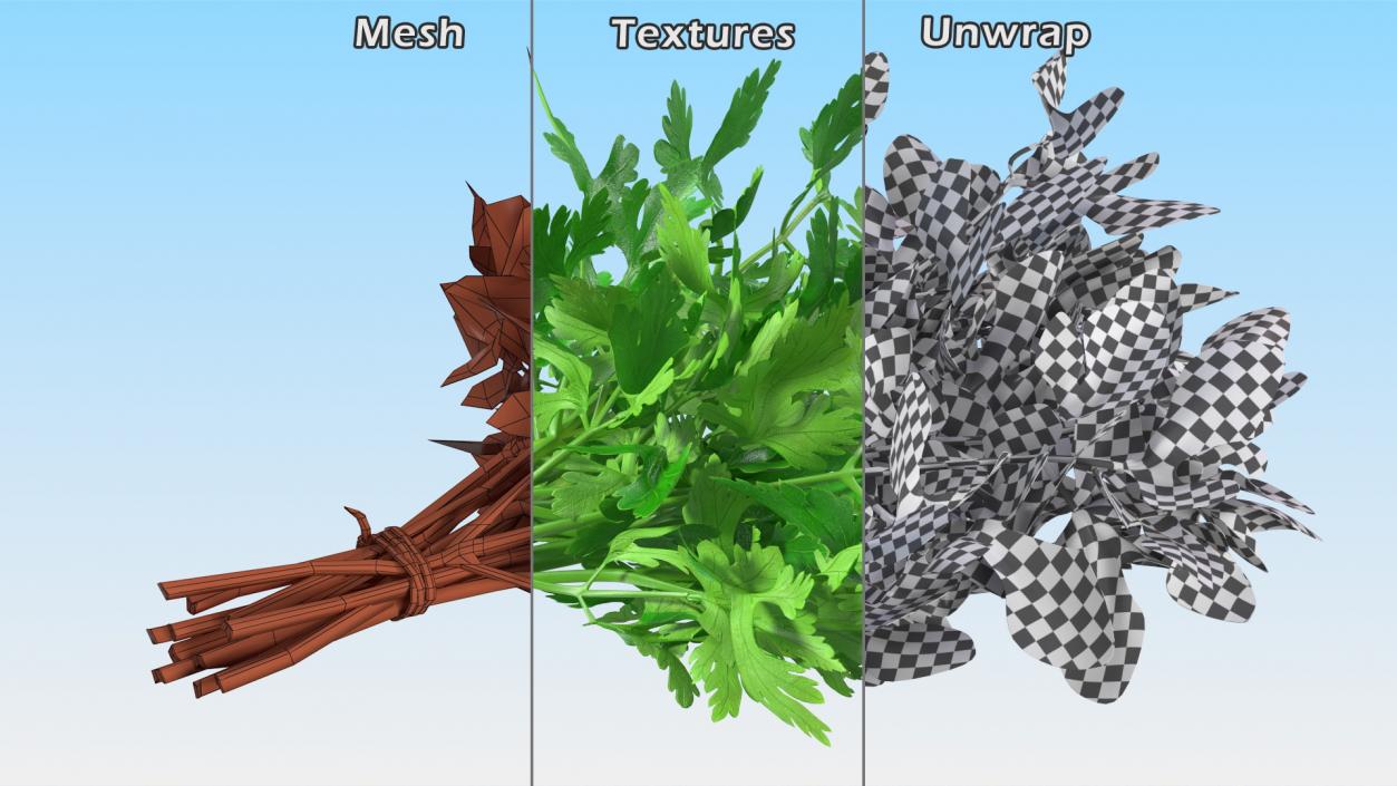 3D model Salad Greens Collection 4