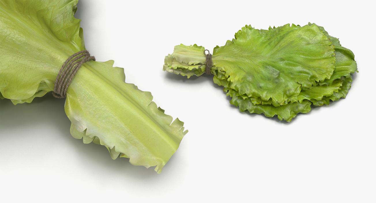 3D model Salad Greens Collection 4