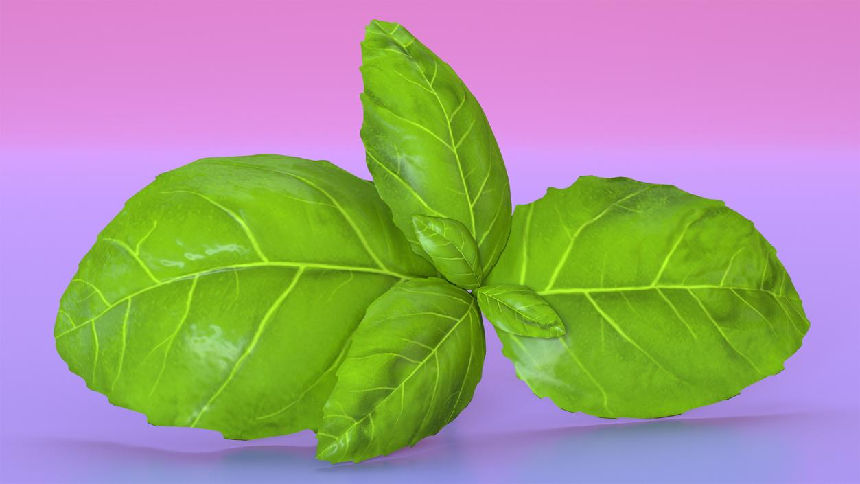 3D model Salad Greens Collection 4