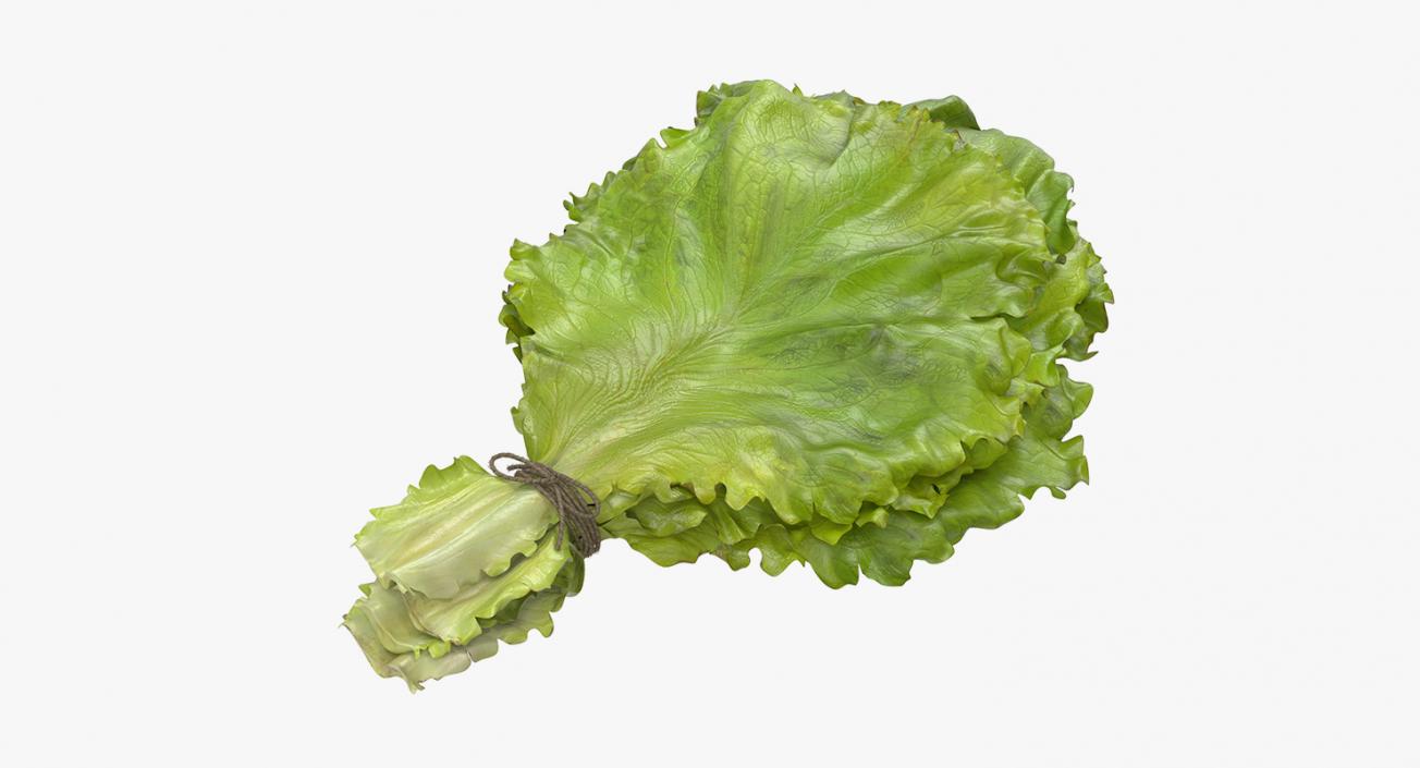 3D model Salad Greens Collection 4