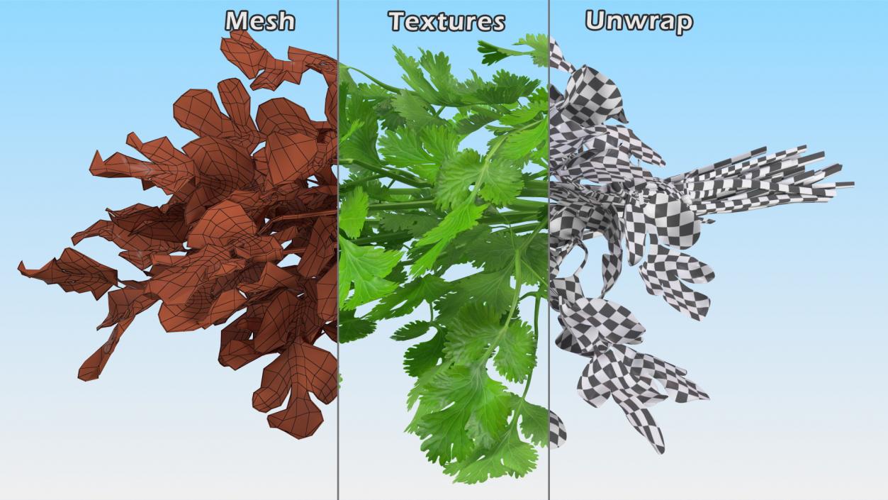 3D model Salad Greens Collection 4