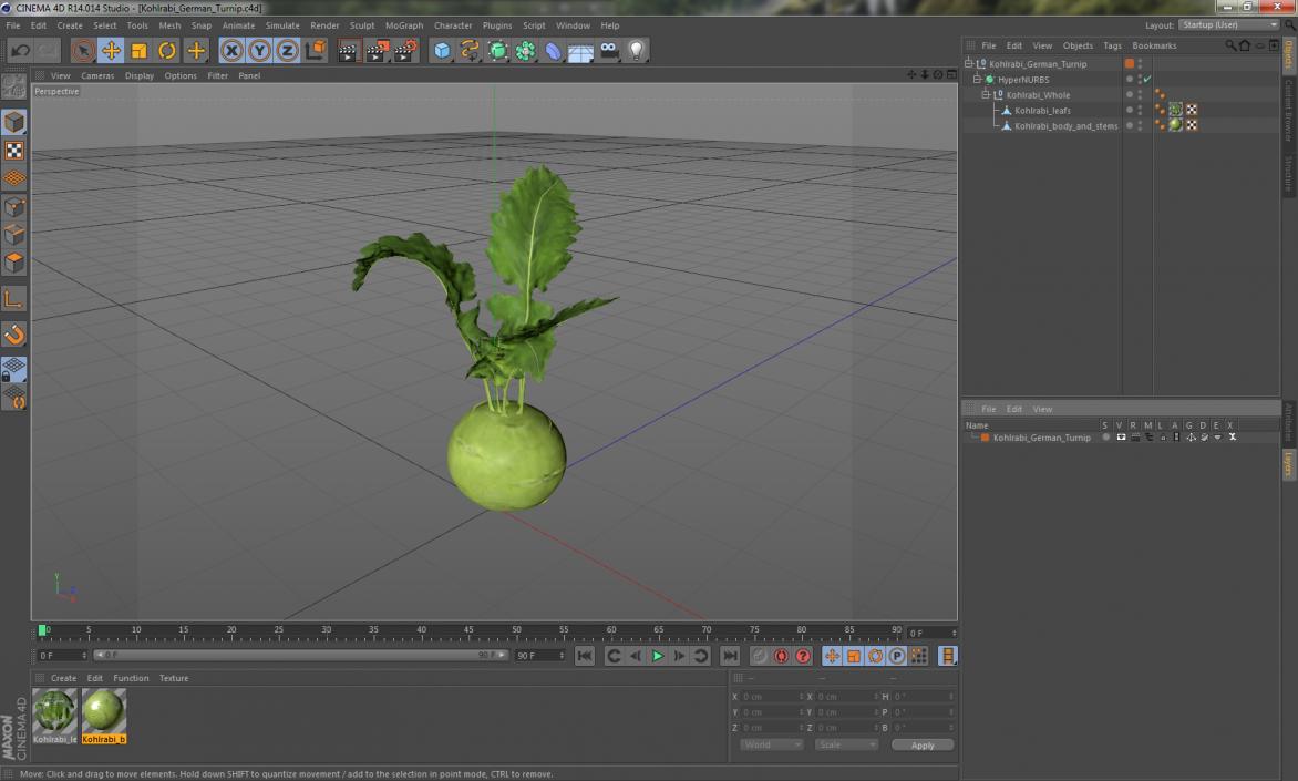 Kohlrabi German Turnip 3D