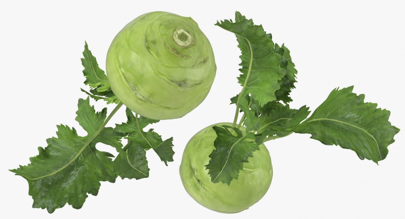 Kohlrabi German Turnip 3D