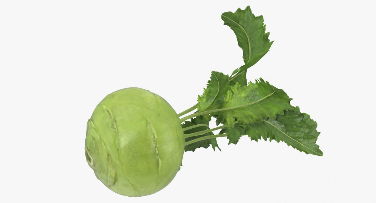 Kohlrabi German Turnip 3D