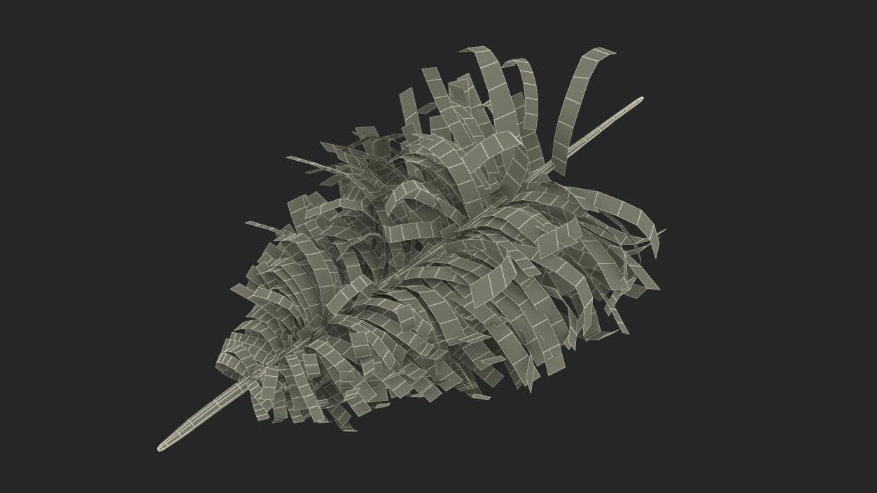 Feathers Collection 3D model