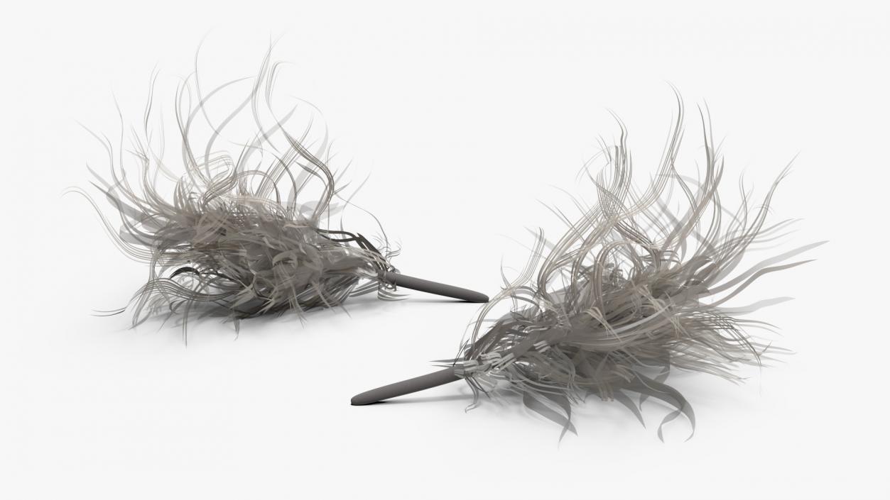 Feathers Collection 3D model