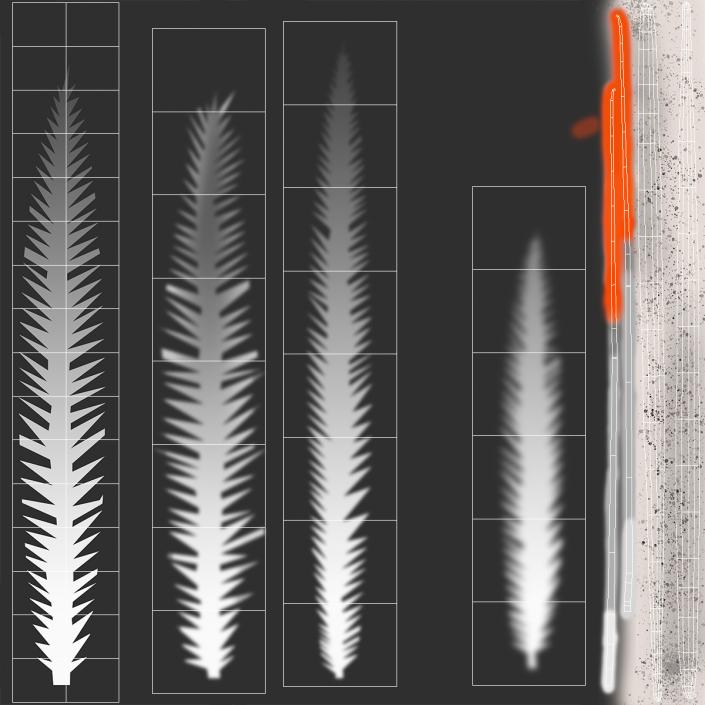 Feathers Collection 3D model