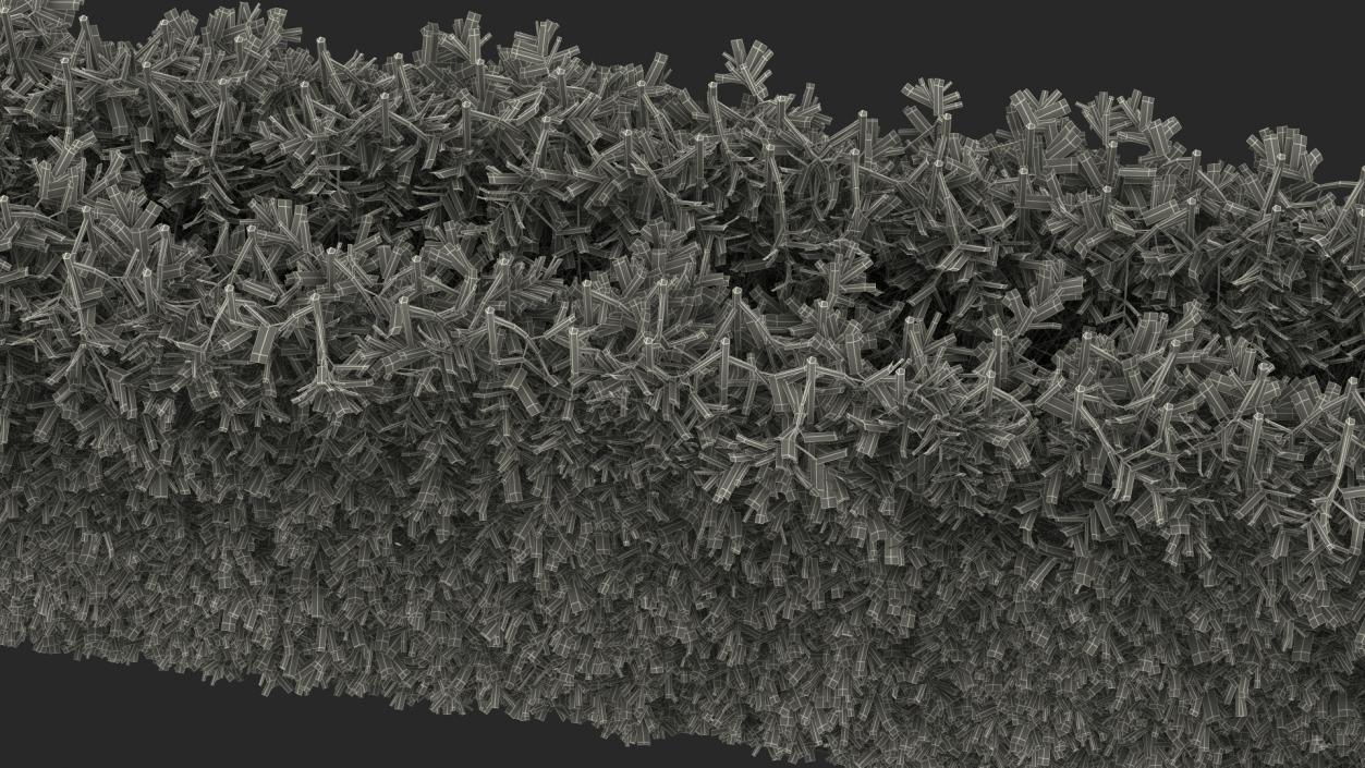 Boxwood Hedge Fence 3D model