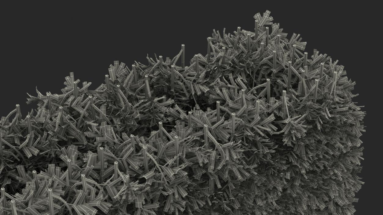 Boxwood Hedge Fence 3D model