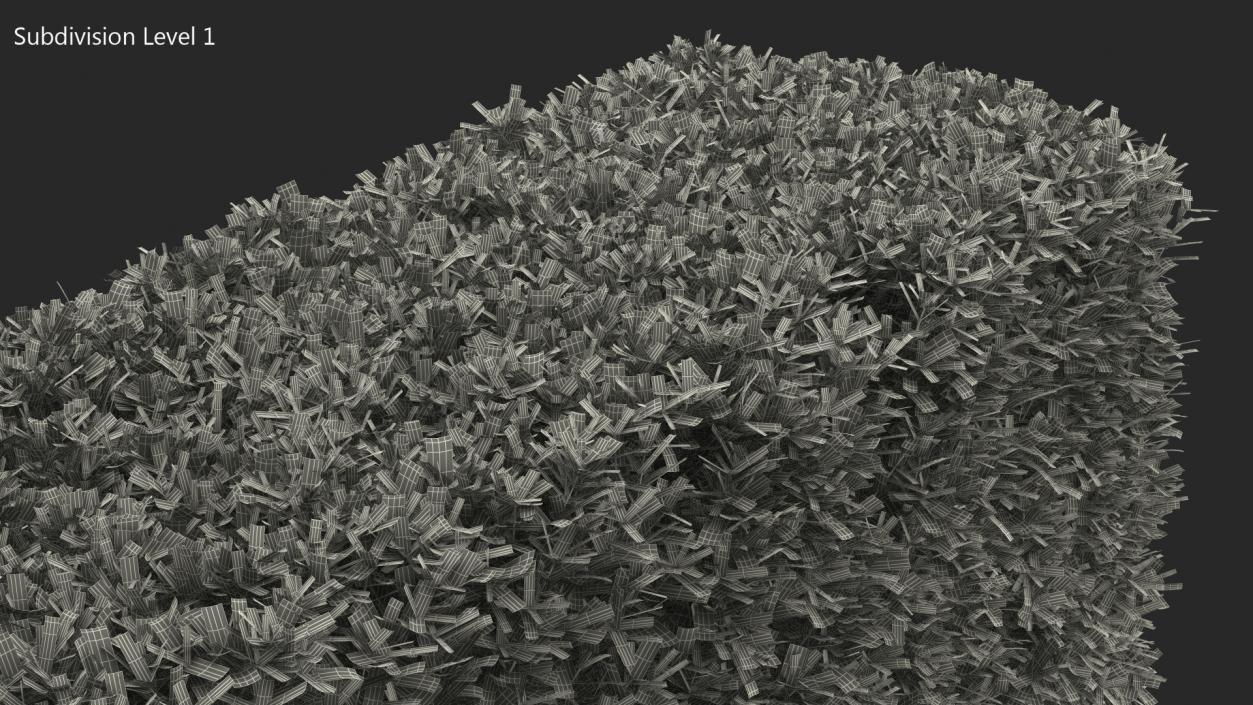 Boxwood Hedge Fence 3D model