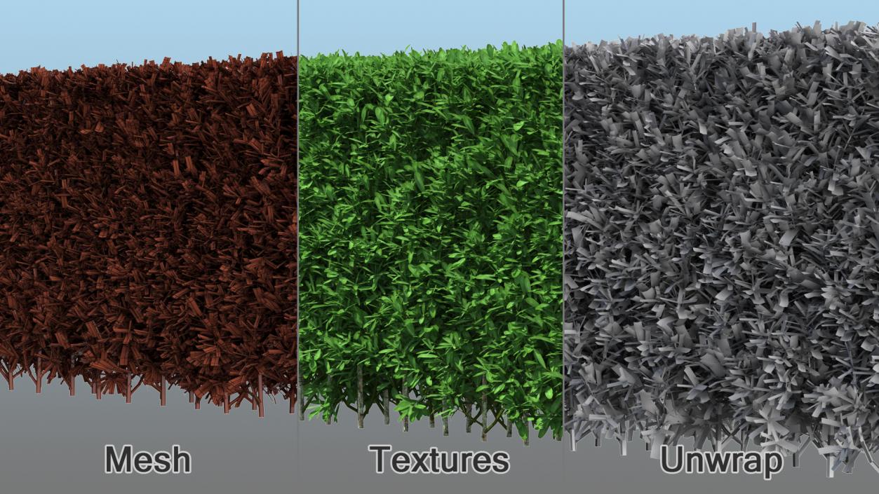 Boxwood Hedge Fence 3D model